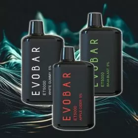 Evobar - Black 5000puffs Limited Edition Disposable - 10 Pieces Per Pack