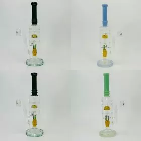 Helios Glass - Waterpipe Straight Doule Perc - 12.5 Inches - Mushroom and Pineapple