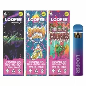 Looper - Melted Series - Disposable - 1 Gram