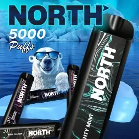 North - 5000 Puffs - Disposable - 10 Counts Per Pack
