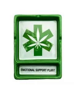 Ashtray Emotional Support Plant