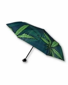 Leaf Umbrella - 2765