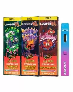 Looper - XL Live Resin Disposable - 3 Grams