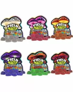 University - Field Trip Psychedelic - Gummies - 10 Pieces Per Pack