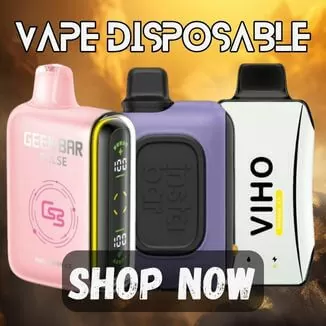 Vape Disposable Kit