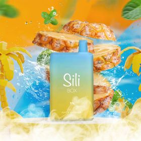 Sili Box - 6000 Puffs - Disposable - With Turbo-Hit - 5 Counts Per Pack