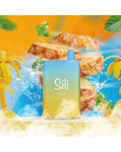 Sili Box - 6000 Puffs - Disposable - With Turbo-Hit