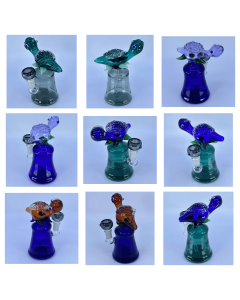 Waterpipe 6" Inch With Turtle Perc